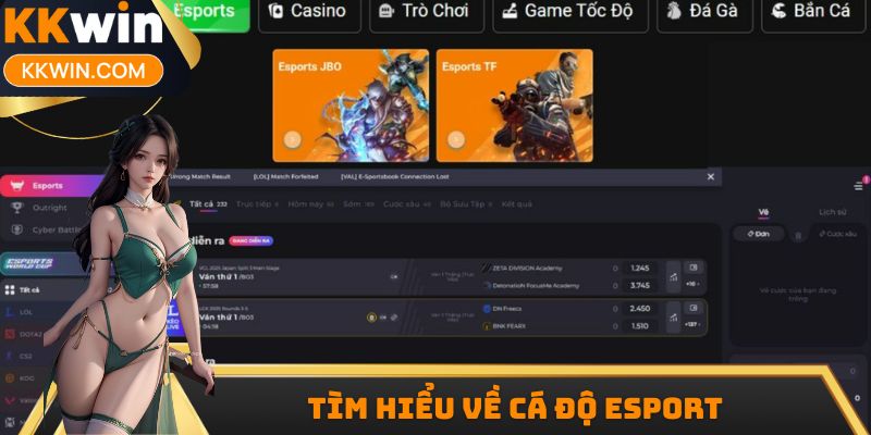 Tìm hiểu về cá độ Esport